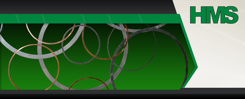 Metallic Gasket