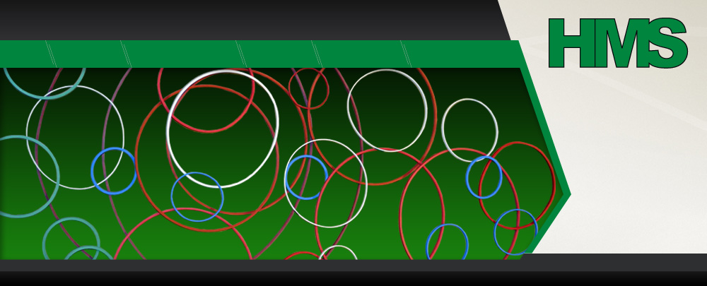 PTFE Seal Rings